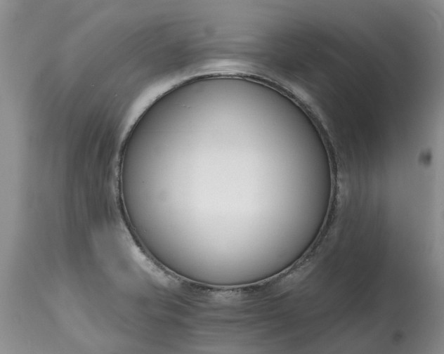 X0000115001421200911091348