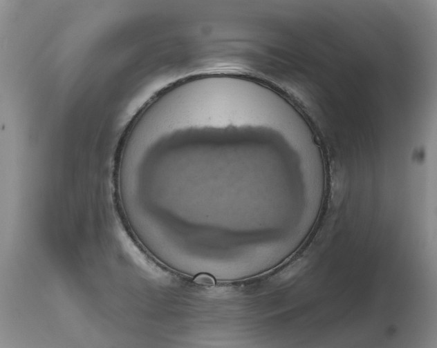 X0000115001422200911091348