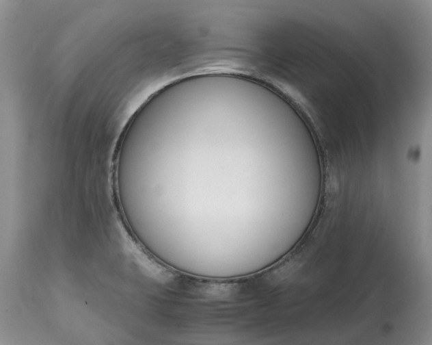 X0000115001423200911091348