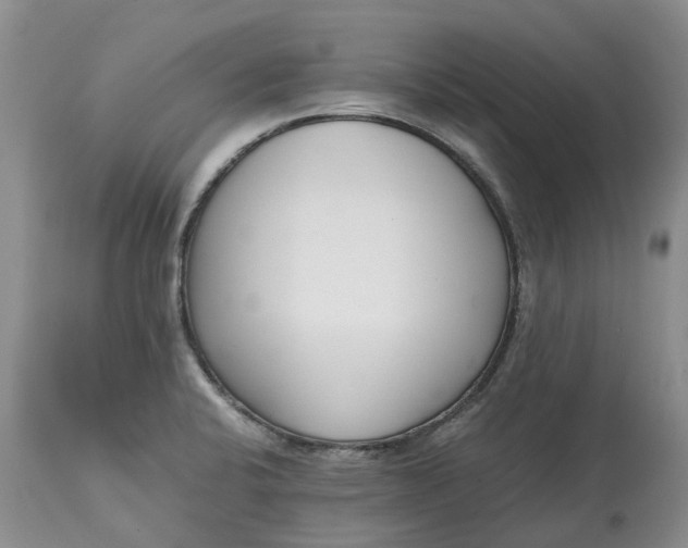X0000115001424200911091348