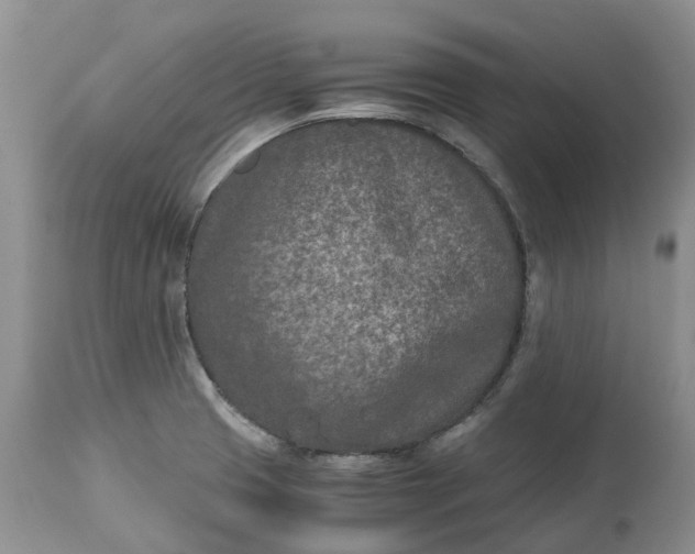 X0000115001425200911091348