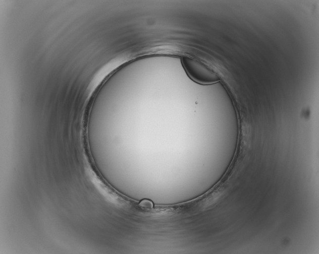 X0000115001426200911091348