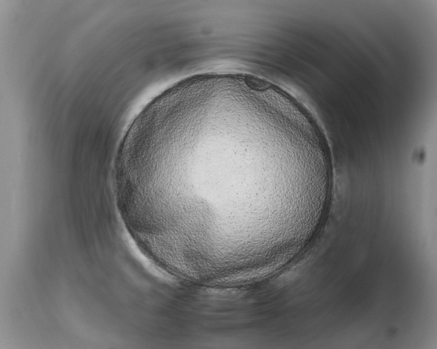 X0000115001429200911091348
