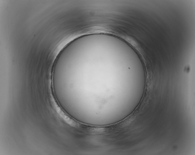 X0000115001431200911091348