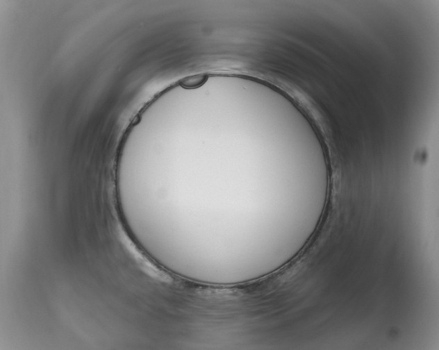 X0000115001432200911091348