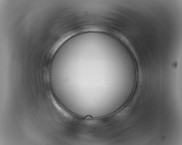 X0000115001433200911091348