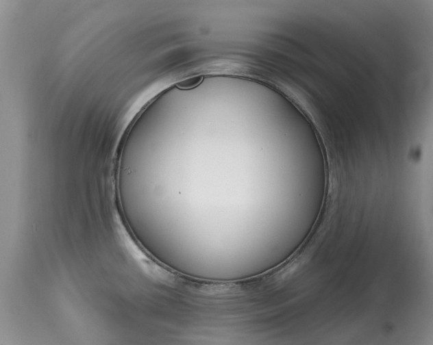 X0000115001434200911091348