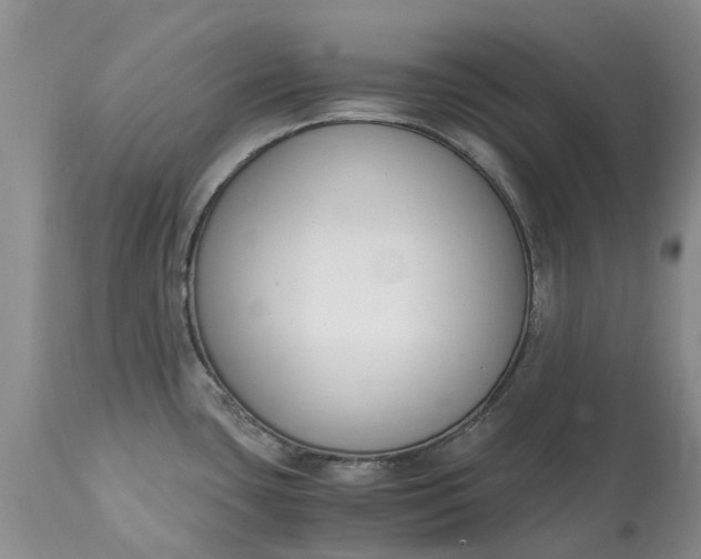 X0000115001435200911091348