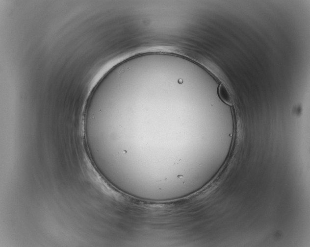 X0000115001436200911091348
