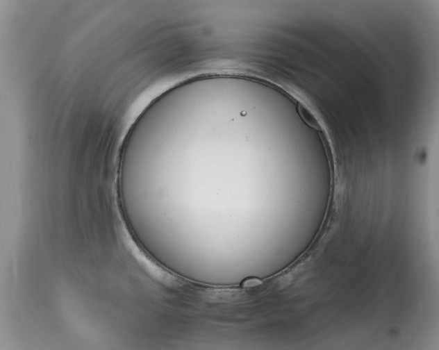 X0000115001437200911091348