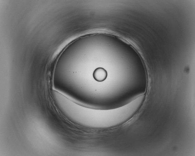 X0000115001438200911091348