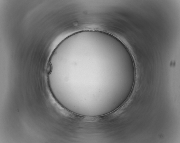X0000115001440200911091348