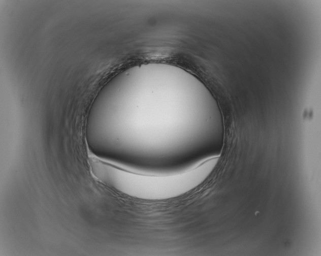 X0000115001441200911091347
