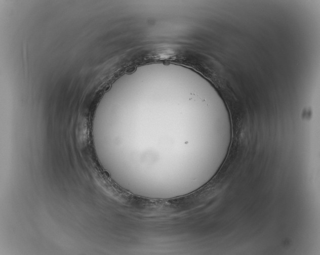 X0000115001442200911091347