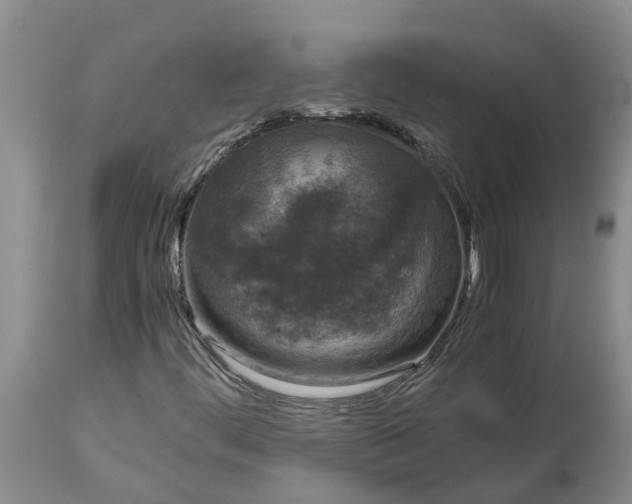 X0000115001444200911091347