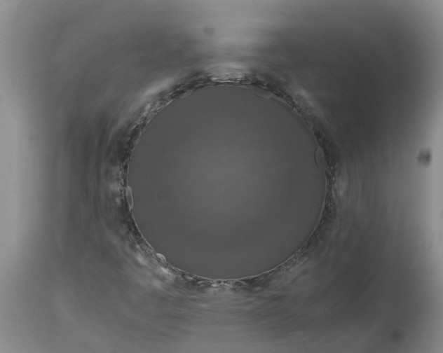 X0000115001445200911091347