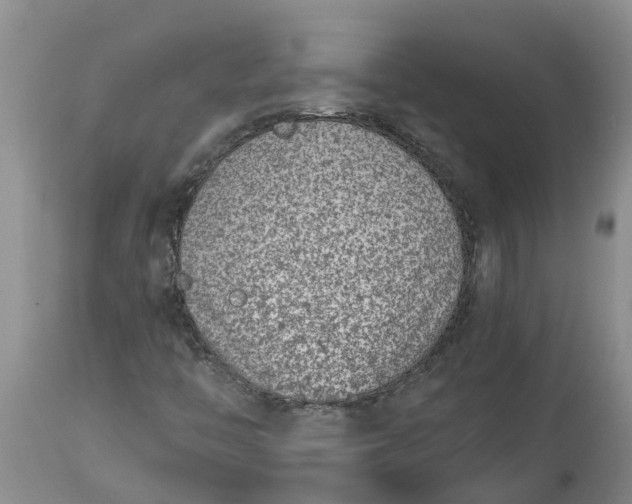 X0000115001446200911091347