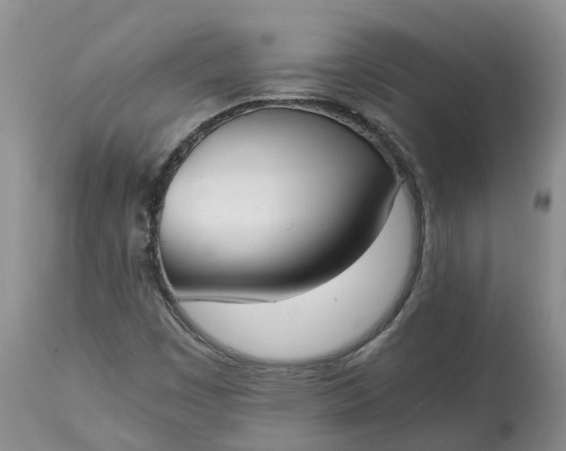 X0000115001449200911091347