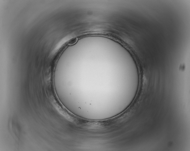 X0000115001450200911091347