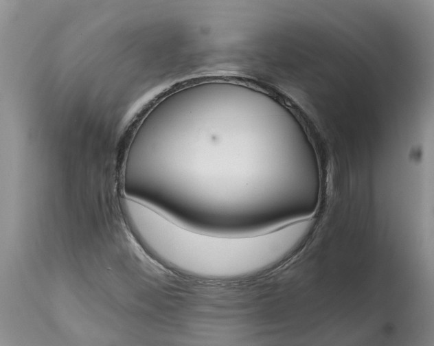 X0000115001452200911091347