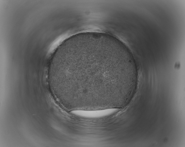 X0000115001455200911091347