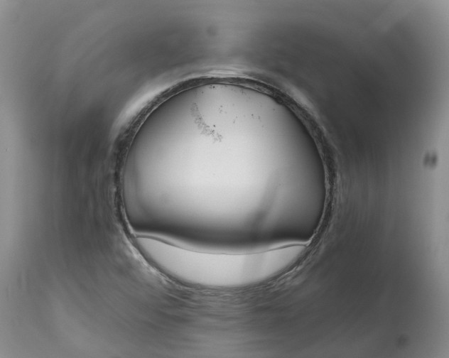 X0000115001456200911091347