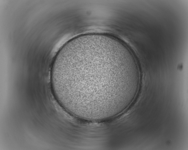 X0000115001459200911091347