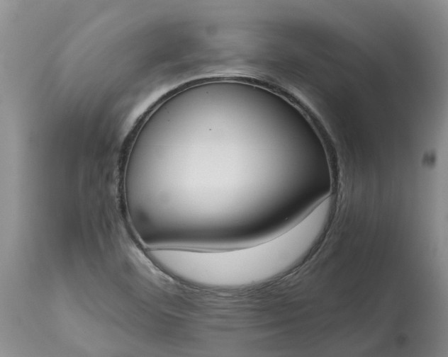 X0000115001460200911091347