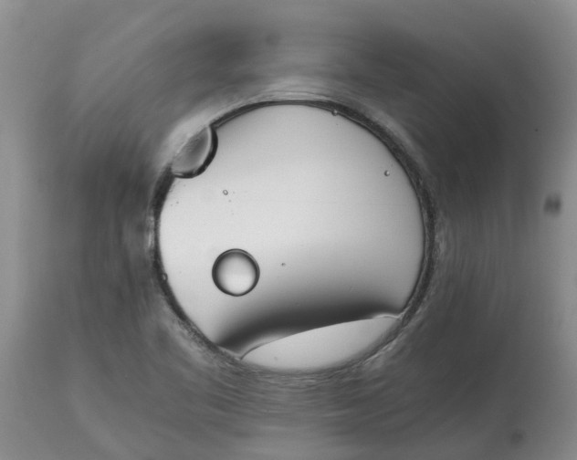X0000115001461200911091347