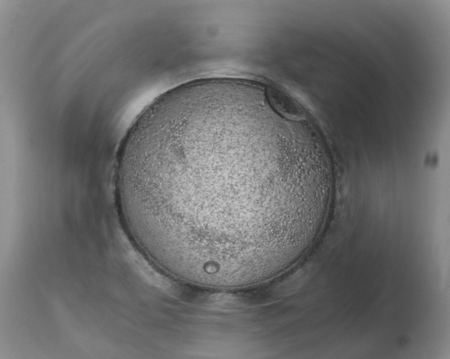X0000115001463200911091347