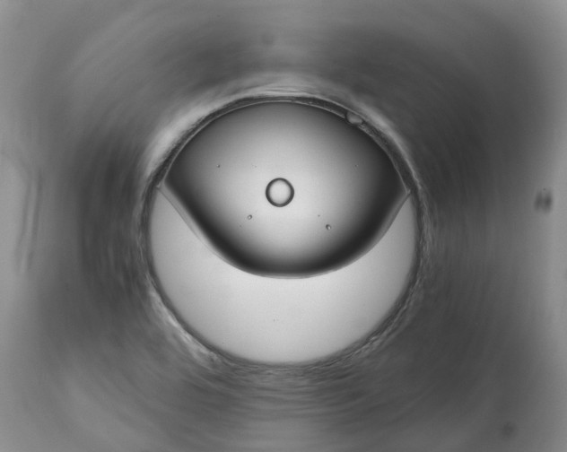 X0000115001464200911091347