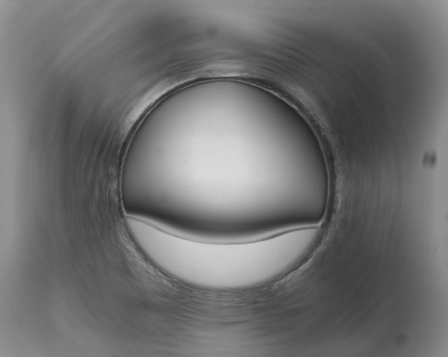 X0000115001465200911091347