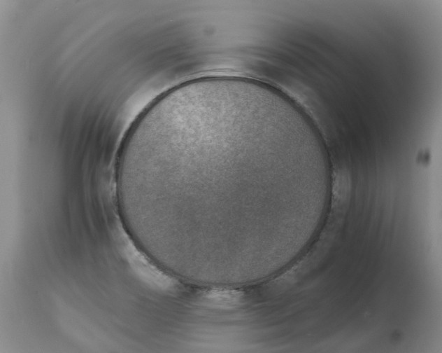 X0000115001466200911091347