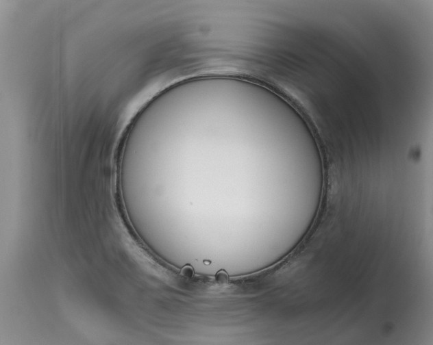 X0000115001467200911091347