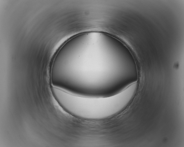 X0000115001468200911091347