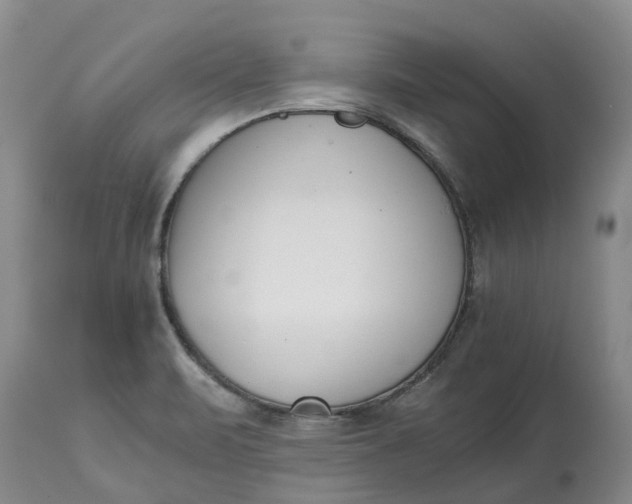X0000115001471200911091347