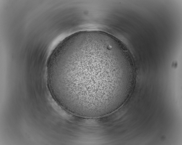 X0000115001472200911091347
