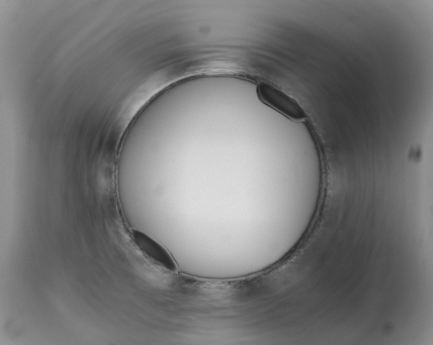 X0000115001473200911091347