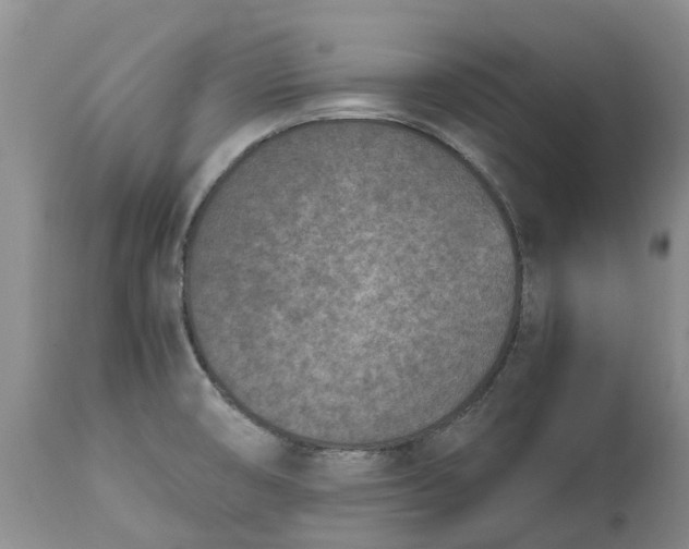 X0000115001474200911091347
