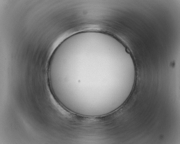 X0000115001475200911091347