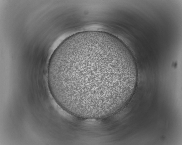 X0000115001478200911091347