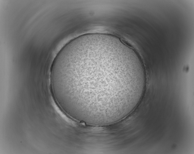 X0000115001479200911091347