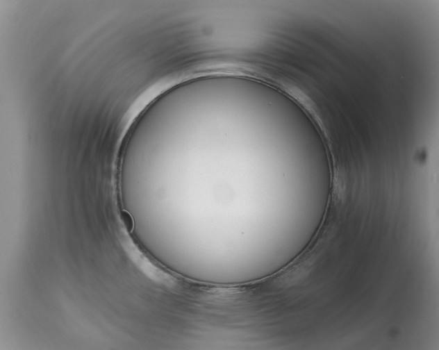 X0000115001482200911091347
