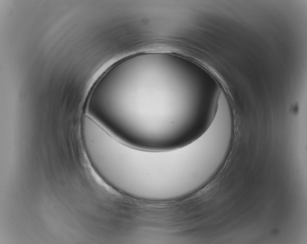 X0000115001484200911091347