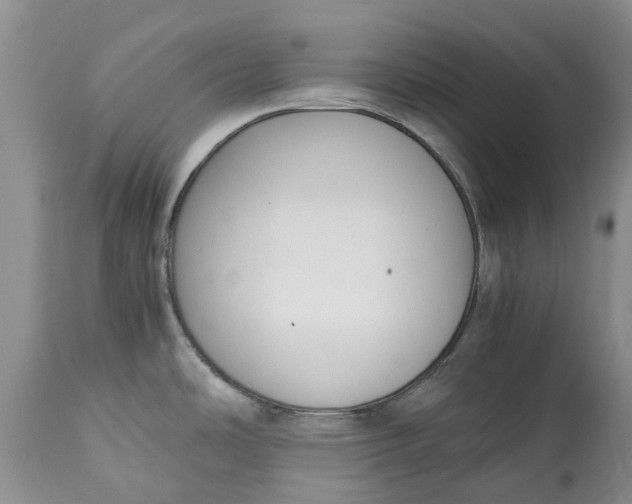 X0000115001486200911091347