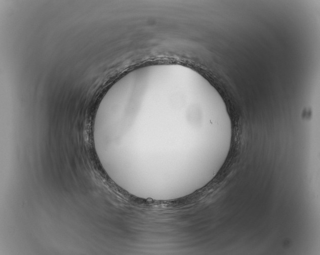X0000115001490200911091346