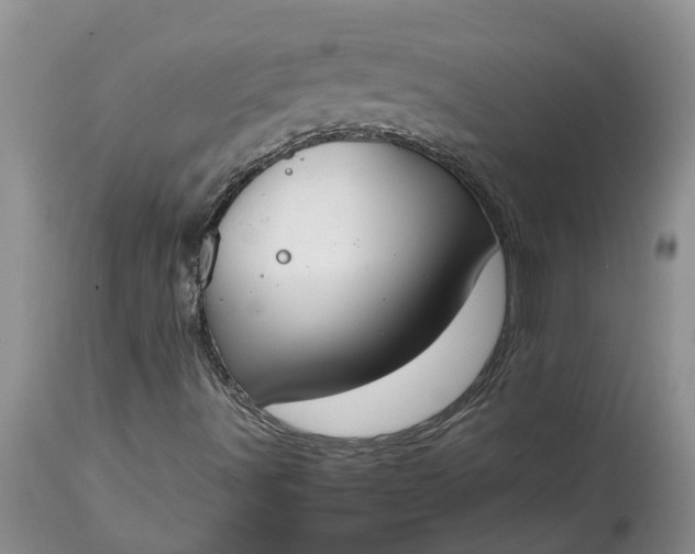 X0000115001491200911091346