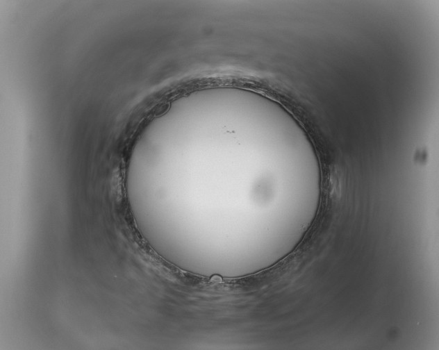 X0000115001493200911091346