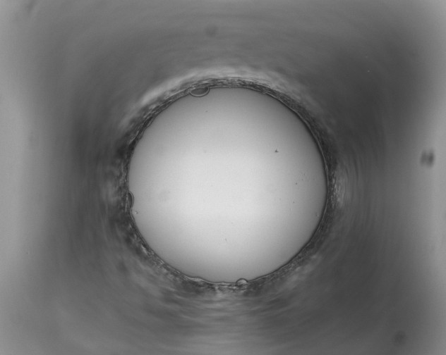X0000115001494200911091346