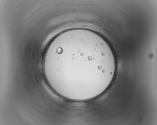 X0000115001498200911091346